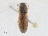  ( - CBG-A25922-C08)  @11 [ ] CreativeCommons - Attribution Share - Alike (2024) CBG Photography Group Centre for Biodiversity Genomics