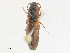  ( - CBG-A25922-E01)  @11 [ ] CreativeCommons - Attribution Share - Alike (2024) CBG Photography Group Centre for Biodiversity Genomics