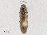  ( - CBG-A25923-B09)  @11 [ ] CreativeCommons - Attribution Share - Alike (2024) CBG Photography Group Centre for Biodiversity Genomics
