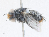  ( - CBG-A25931-G02)  @11 [ ] CreativeCommons - Attribution Share - Alike (2024) CBG Photography Group Centre for Biodiversity Genomics