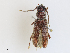  ( - CBG-A27512-C04)  @11 [ ] CreativeCommons - Attribution Share - Alike (2024) CBG Photography Group Centre for Biodiversity Genomics