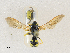  ( - CBG-A28472-E12)  @11 [ ] CreativeCommons - Attribution Share-Alike (2024) CBG Photography Group Centre for Biodiversity Genomics