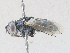  ( - CBG-A28417-G04)  @11 [ ] CreativeCommons - Attribution Share - Alike (2024) CBG Photography Group Centre for Biodiversity Genomics