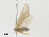  ( - CBG-A28419-A10)  @11 [ ] CreativeCommons - Attribution Share - Alike (2024) CBG Photography Group Centre for Biodiversity Genomics