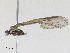  ( - CBG-A28419-E04)  @11 [ ] CreativeCommons - Attribution Share - Alike (2024) CBG Photography Group Centre for Biodiversity Genomics