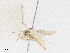  ( - CBG-A28474-H07)  @11 [ ] CreativeCommons - Attribution Share - Alike (2024) CBG Photography Group Centre for Biodiversity Genomics