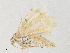  ( - CBG-A28475-E04)  @11 [ ] CreativeCommons - Attribution Share - Alike (2024) CBG Photography Group Centre for Biodiversity Genomics