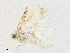  ( - CBG-A28475-F01)  @11 [ ] CreativeCommons - Attribution Share - Alike (2024) CBG Photography Group Centre for Biodiversity Genomics