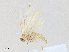  ( - CBG-A28475-F04)  @11 [ ] CreativeCommons - Attribution Share - Alike (2024) CBG Photography Group Centre for Biodiversity Genomics