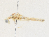  ( - CBG-A28476-E01)  @11 [ ] CreativeCommons - Attribution Share - Alike (2024) CBG Photography Group Centre for Biodiversity Genomics