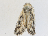  ( - CBG-A29997-E01)  @11 [ ] CreativeCommons - Attribution Share - Alike (2024) CBG Photography Group Centre for Biodiversity Genomics