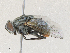  ( - CBG-A30014-D03)  @11 [ ] CreativeCommons - Attribution Share - Alike (2024) CBG Photography Group Centre for Biodiversity Genomics