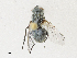  ( - CBG-A30014-D11)  @11 [ ] CreativeCommons - Attribution Share - Alike (2024) CBG Photography Group Centre for Biodiversity Genomics