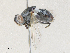  ( - CBG-A30014-E02)  @11 [ ] CreativeCommons - Attribution Share - Alike (2024) CBG Photography Group Centre for Biodiversity Genomics
