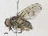  ( - CBG-A30046-C09)  @11 [ ] CreativeCommons - Attribution Share - Alike (2024) CBG Photography Group Centre for Biodiversity Genomics
