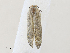  ( - CBG-A30047-A07)  @11 [ ] CreativeCommons - Attribution Share - Alike (2024) CBG Photography Group Centre for Biodiversity Genomics
