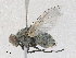  ( - CBG-A30049-F02)  @11 [ ] CreativeCommons - Attribution Share - Alike (2024) CBG Photography Group Centre for Biodiversity Genomics