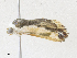  ( - CBG-A30051-B09)  @11 [ ] CreativeCommons - Attribution Share - Alike (2024) CBG Photography Group Centre for Biodiversity Genomics