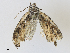  ( - CBG-A30053-E07)  @11 [ ] CreativeCommons - Attribution Share - Alike (2024) CBG Photography Group Centre for Biodiversity Genomics