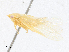  ( - CBG-A30054-H02)  @11 [ ] CreativeCommons - Attribution Share - Alike (2024) CBG Photography Group Centre for Biodiversity Genomics