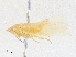  ( - CBG-A30056-F01)  @11 [ ] CreativeCommons - Attribution Share - Alike (2024) CBG Photography Group Centre for Biodiversity Genomics