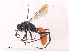  ( - CBG-A30082-A02)  @11 [ ] CreativeCommons - Attribution Share - Alike (2024) CBG Photography Group Centre for Biodiversity Genomics
