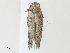  ( - CBG-A30084-C12)  @11 [ ] CreativeCommons - Attribution Share - Alike (2024) CBG Photography Group Centre for Biodiversity Genomics
