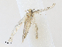  ( - CBG-A30085-A09)  @11 [ ] CreativeCommons - Attribution Share - Alike (2024) CBG Photography Group Centre for Biodiversity Genomics