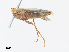  ( - CBG-A30088-E12)  @11 [ ] CreativeCommons - Attribution Share - Alike (2024) CBG Photography Group Centre for Biodiversity Genomics