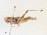  ( - CBG-A30114-A01)  @11 [ ] CreativeCommons - Attribution Share - Alike (2024) CBG Photography Group Centre for Biodiversity Genomics