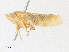  ( - CBG-A30114-C09)  @11 [ ] CreativeCommons - Attribution Share - Alike (2024) CBG Photography Group Centre for Biodiversity Genomics