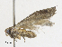  ( - CBG-A30124-B08)  @11 [ ] CreativeCommons - Attribution Share - Alike (2024) CBG Photography Group Centre for Biodiversity Genomics
