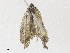 ( - CBG-A30124-D07)  @11 [ ] CreativeCommons - Attribution Share - Alike (2024) CBG Photography Group Centre for Biodiversity Genomics