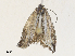  ( - CBG-A30124-E01)  @11 [ ] CreativeCommons - Attribution Share - Alike (2024) CBG Photography Group Centre for Biodiversity Genomics