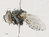  ( - CBG-A30124-G05)  @11 [ ] CreativeCommons - Attribution Share - Alike (2024) CBG Photography Group Centre for Biodiversity Genomics