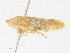  ( - CBG-A30917-C07)  @11 [ ] CreativeCommons - Attribution Share - Alike (2024) CBG Photography Group Centre for Biodiversity Genomics