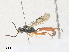  ( - CBG-A30008-C03)  @11 [ ] CreativeCommons - Attribution Share - Alike (2024) CBG Photography Group Centre for Biodiversity Genomics