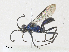  ( - CBG-A30008-F06)  @11 [ ] CreativeCommons - Attribution Share - Alike (2024) CBG Photography Group Centre for Biodiversity Genomics