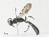  ( - CBG-A30008-F07)  @11 [ ] CreativeCommons - Attribution Share - Alike (2024) CBG Photography Group Centre for Biodiversity Genomics