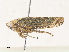  ( - CBG-A30008-H06)  @11 [ ] CreativeCommons - Attribution Share - Alike (2024) CBG Photography Group Centre for Biodiversity Genomics