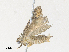  ( - CBG-A30076-E06)  @11 [ ] CreativeCommons - Attribution Share - Alike (2024) CBG Photography Group Centre for Biodiversity Genomics