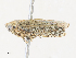  ( - CBG-A30076-G07)  @11 [ ] CreativeCommons - Attribution Share - Alike (2024) CBG Photography Group Centre for Biodiversity Genomics