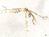  ( - CBG-A30114-D02)  @11 [ ] CreativeCommons - Attribution Share-Alike (2024) CBG Photography Group Centre for Biodiversity Genomics