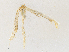  ( - CBG-A30114-D03)  @11 [ ] CreativeCommons - Attribution Share - Alike (2024) CBG Photography Group Centre for Biodiversity Genomics