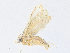  ( - CBG-A30126-G03)  @11 [ ] CreativeCommons - Attribution Share - Alike (2024) CBG Photography Group Centre for Biodiversity Genomics