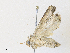  ( - CBG-A30147-C04)  @11 [ ] CreativeCommons - Attribution Share - Alike (2024) CBG Photography Group Centre for Biodiversity Genomics