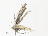  ( - CBG-A30154-E10)  @11 [ ] CreativeCommons - Attribution Share - Alike (2024) CBG Photography Group Centre for Biodiversity Genomics