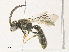  ( - CBG-A30154-H06)  @11 [ ] CreativeCommons - Attribution Share - Alike (2024) CBG Photography Group Centre for Biodiversity Genomics