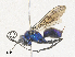  ( - CBG-A30155-D01)  @11 [ ] CreativeCommons - Attribution Share - Alike (2024) CBG Photography Group Centre for Biodiversity Genomics