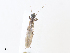 ( - CBG-A30156-D11)  @11 [ ] CreativeCommons - Attribution Share - Alike (2024) CBG Photography Group Centre for Biodiversity Genomics